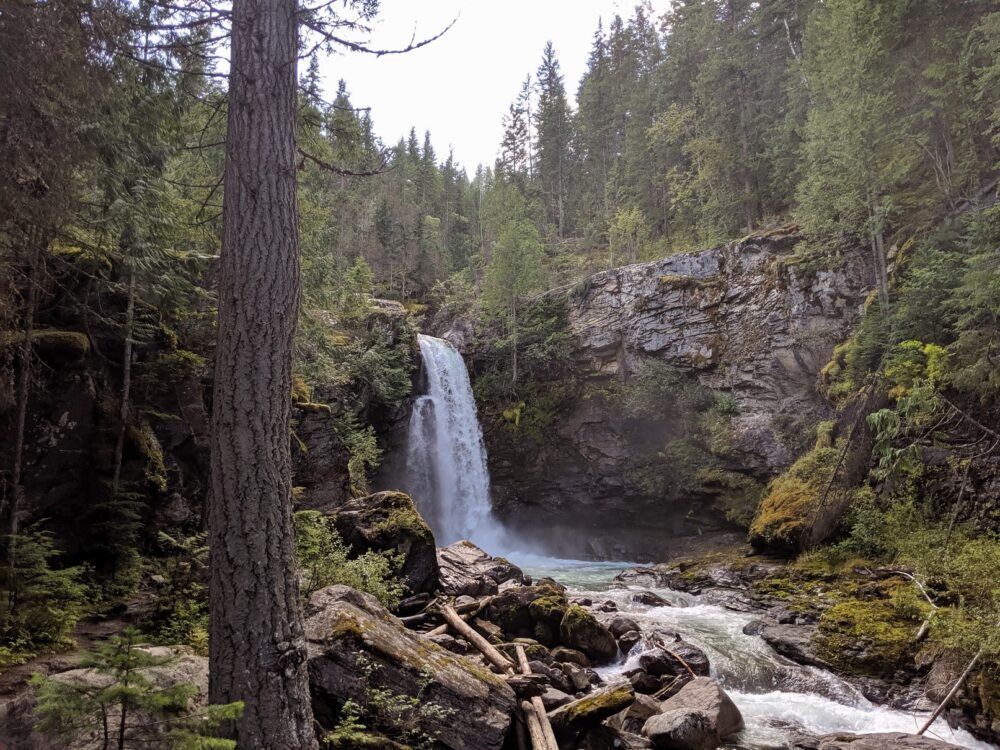 瀑布从平坦的岩石瀑布成碗状，前景为森林和岩石