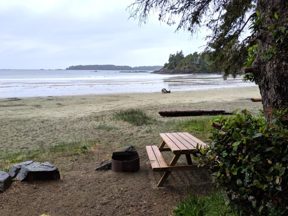 露营地的野餐桌和火坑设置在沙滩后面，远处是大海