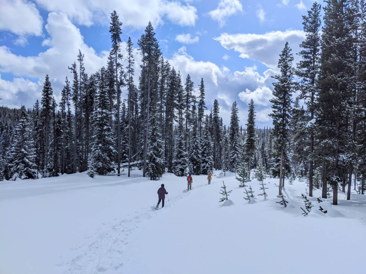 在不列颠哥伦比亚省，三个人穿着雪鞋穿过白雪覆盖的风景