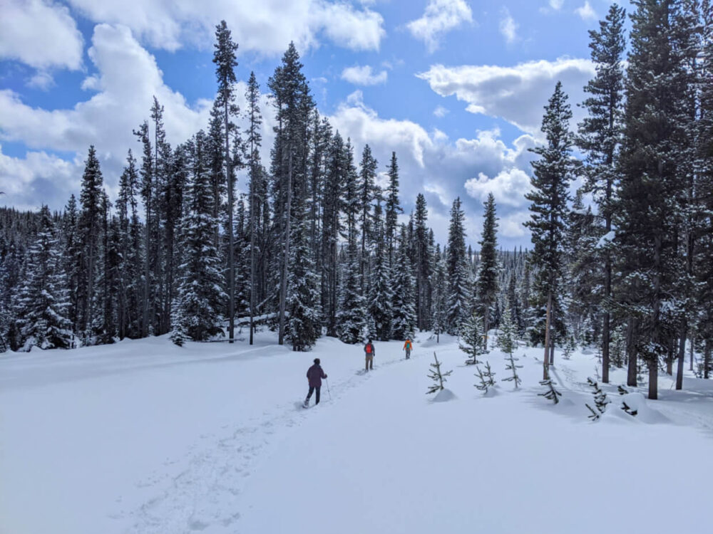 三个人穿着雪鞋走在雪道上，进入森林