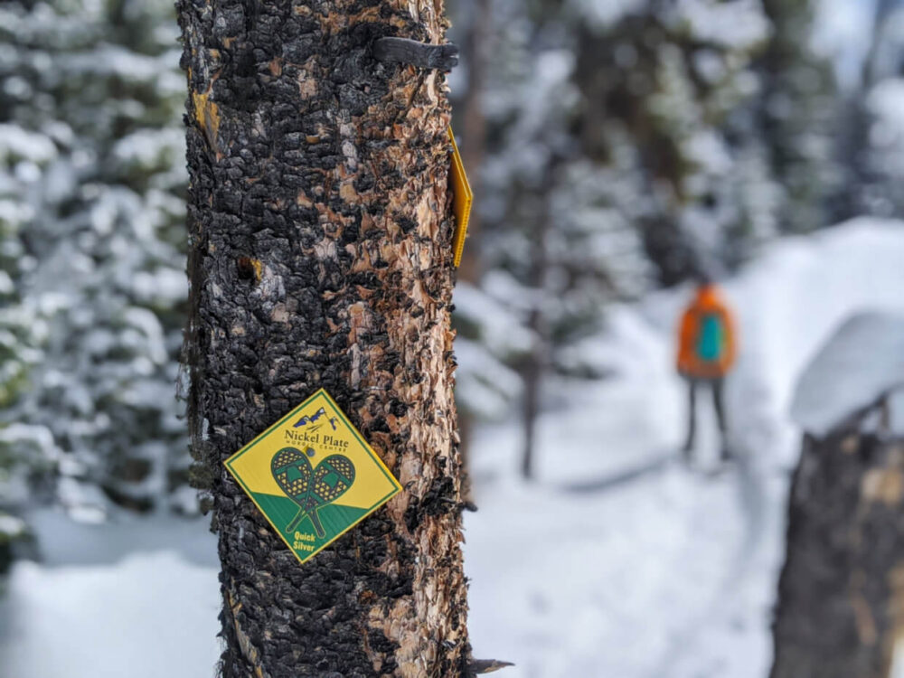 镍板北欧中心雪鞋痕迹标志在树上，雪鞋在背景的焦点