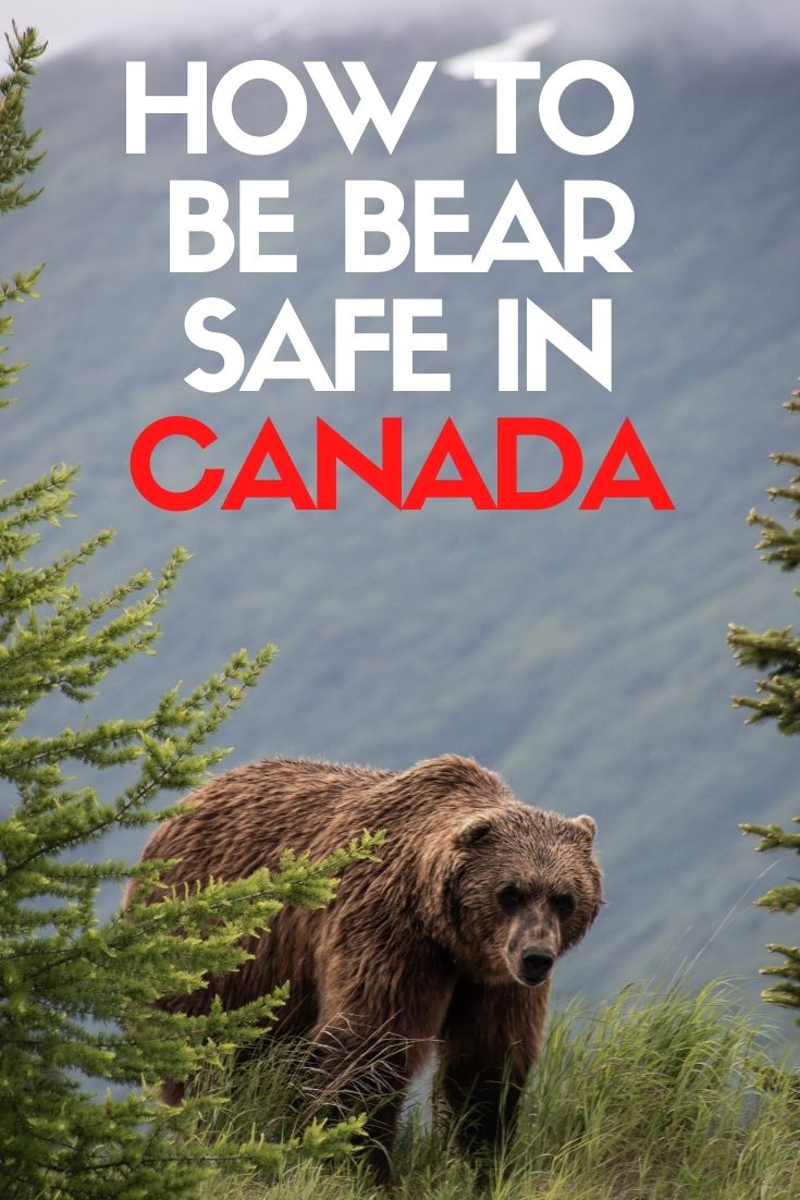 遇到熊感到害怕是正常的。减少这种恐惧的最好方法就是学习。本指南将为想要探索加拿大的人提供熊的安全介绍。offtrack乐动体育代理招商travel.ca