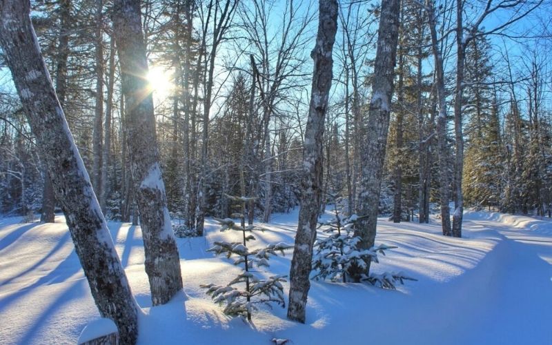 冬天在加拿大该穿什么:一个完整的指南