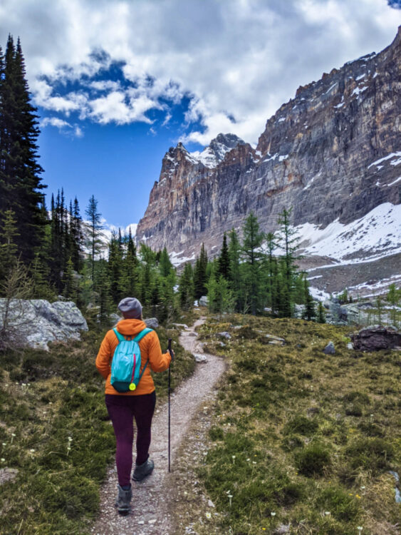 杰玛穿着橙色夹克，紫色打底裤和绿色背包徒步旅行的后景。这条小路通向一片稀疏的森林，右边是积雪覆盖的山峦