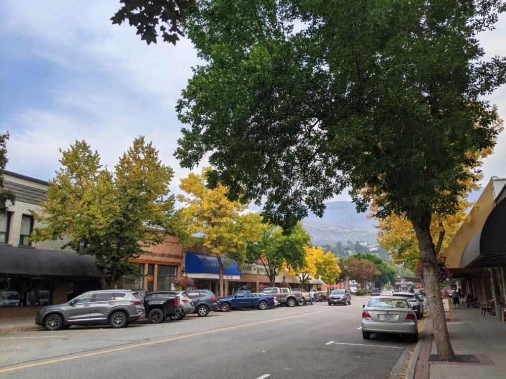 从大福克市中心的主干道往下看，街道上停着汽车，人行道上排列着树木，其中一些是黄色的