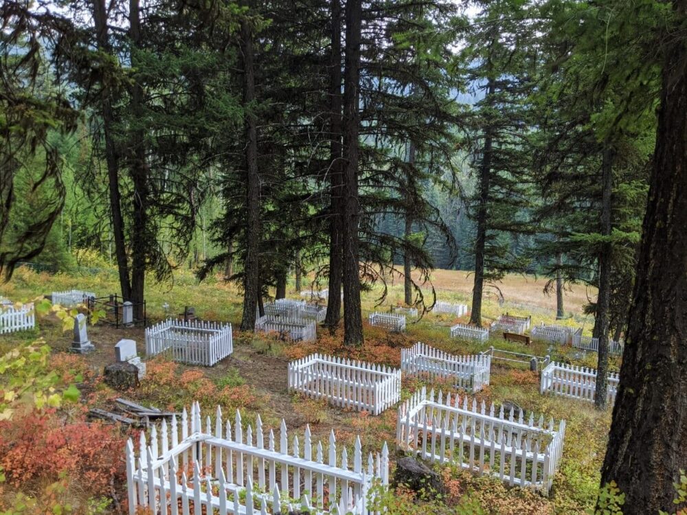 俯瞰凤凰山公墓，墓地周围有白色的栅栏，红色的灌木和树木