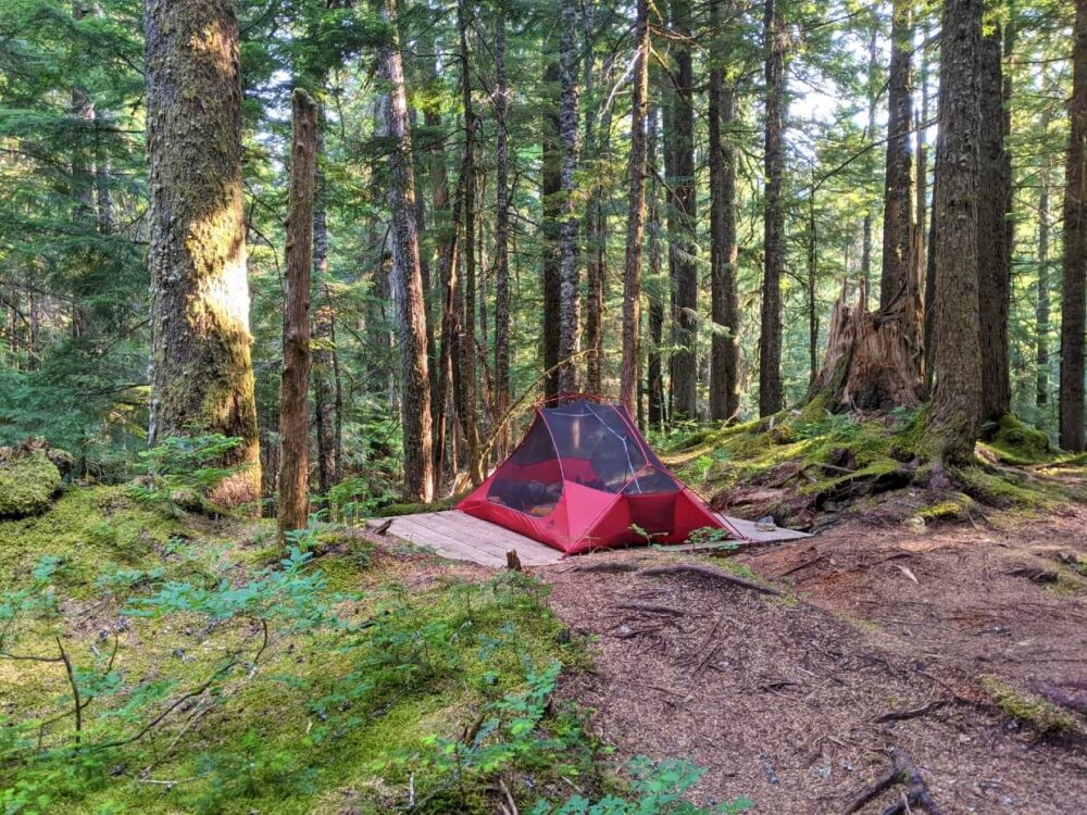 在森林覆盖的科尔维尔营地的木制帐篷垫上搭建帐篷