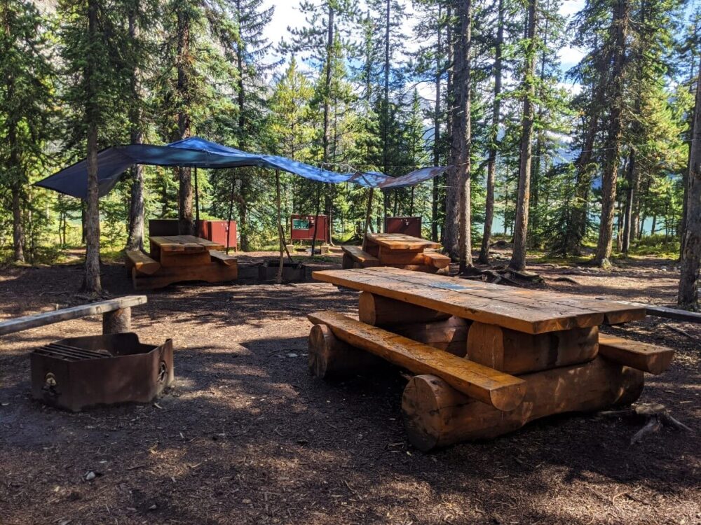 森林里的野餐桌和火坑，有些盖着油布，背景是金属食品柜