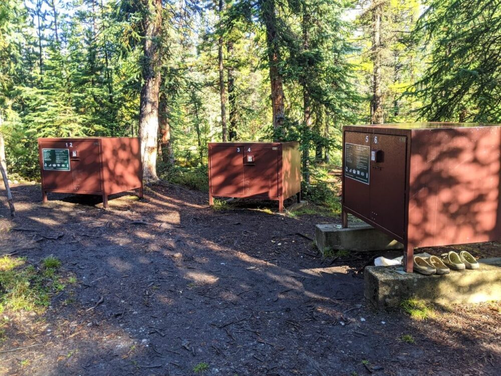 三个大型的金属防熊储物柜，食物储存在营地，周围是森林
