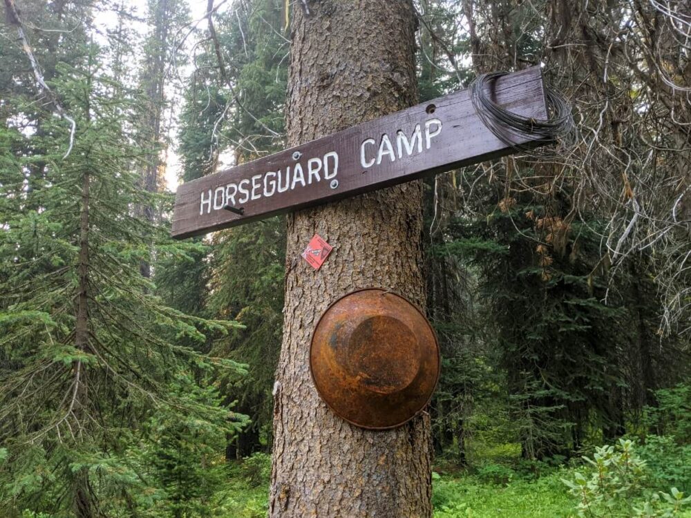 近距离的木制马卫队营地标志在树与金属金锅下面
