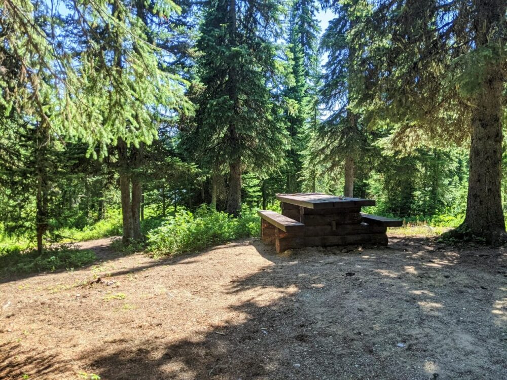 在雅各布森湖营地，野餐长凳被森林包围