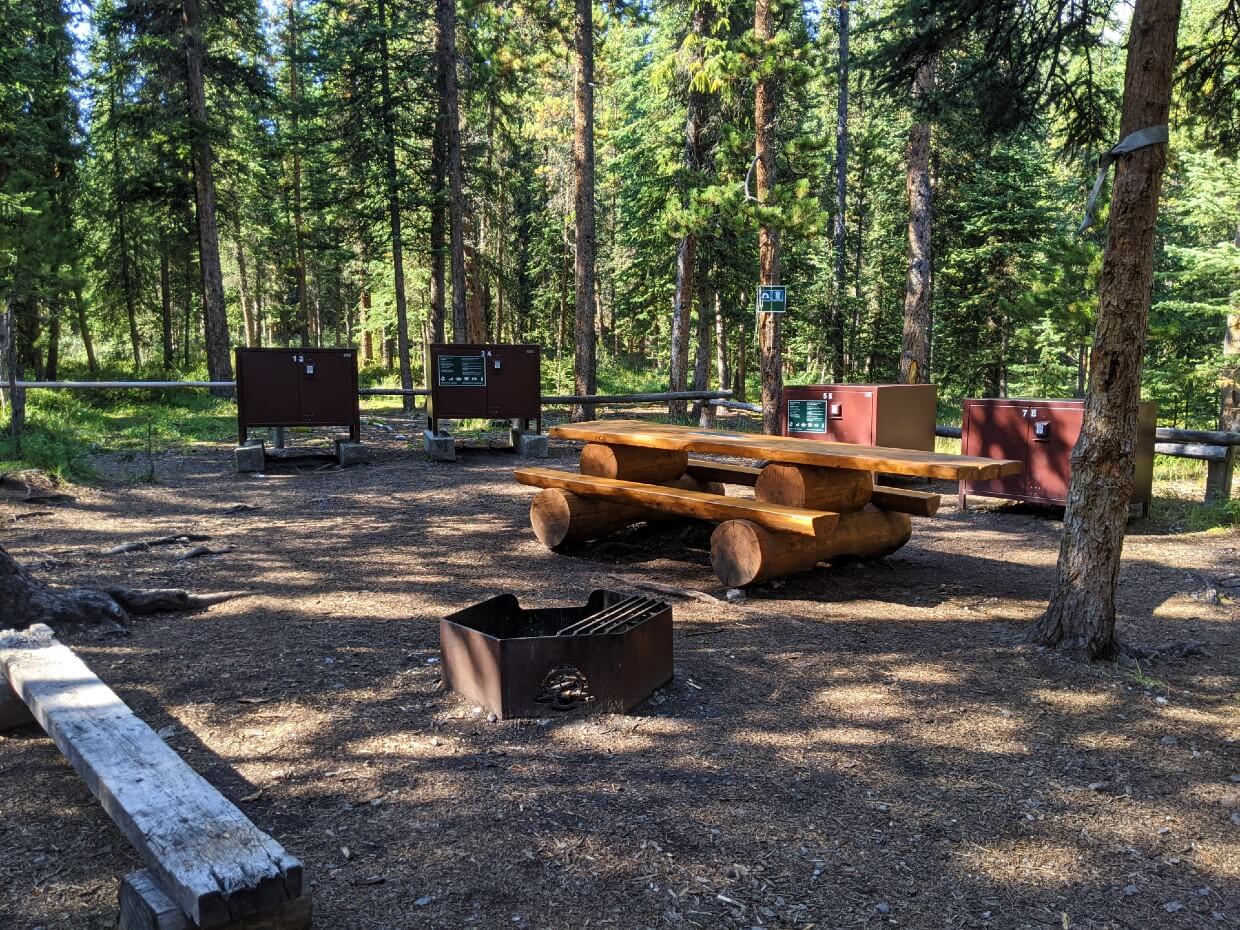 渔人湾露营地的烹饪区，配有野餐桌、火坑和金属储物柜，周围是森林
