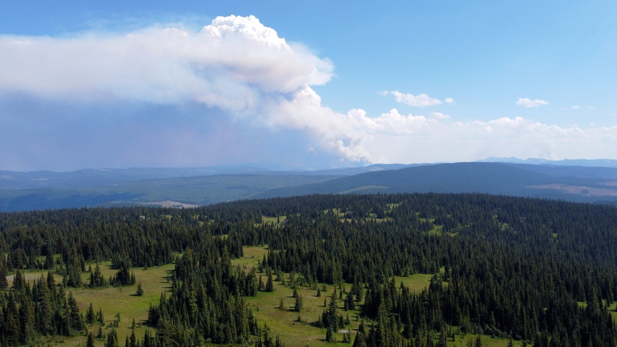 无人机拍摄的远处野火照片，在森林覆盖的高原后面