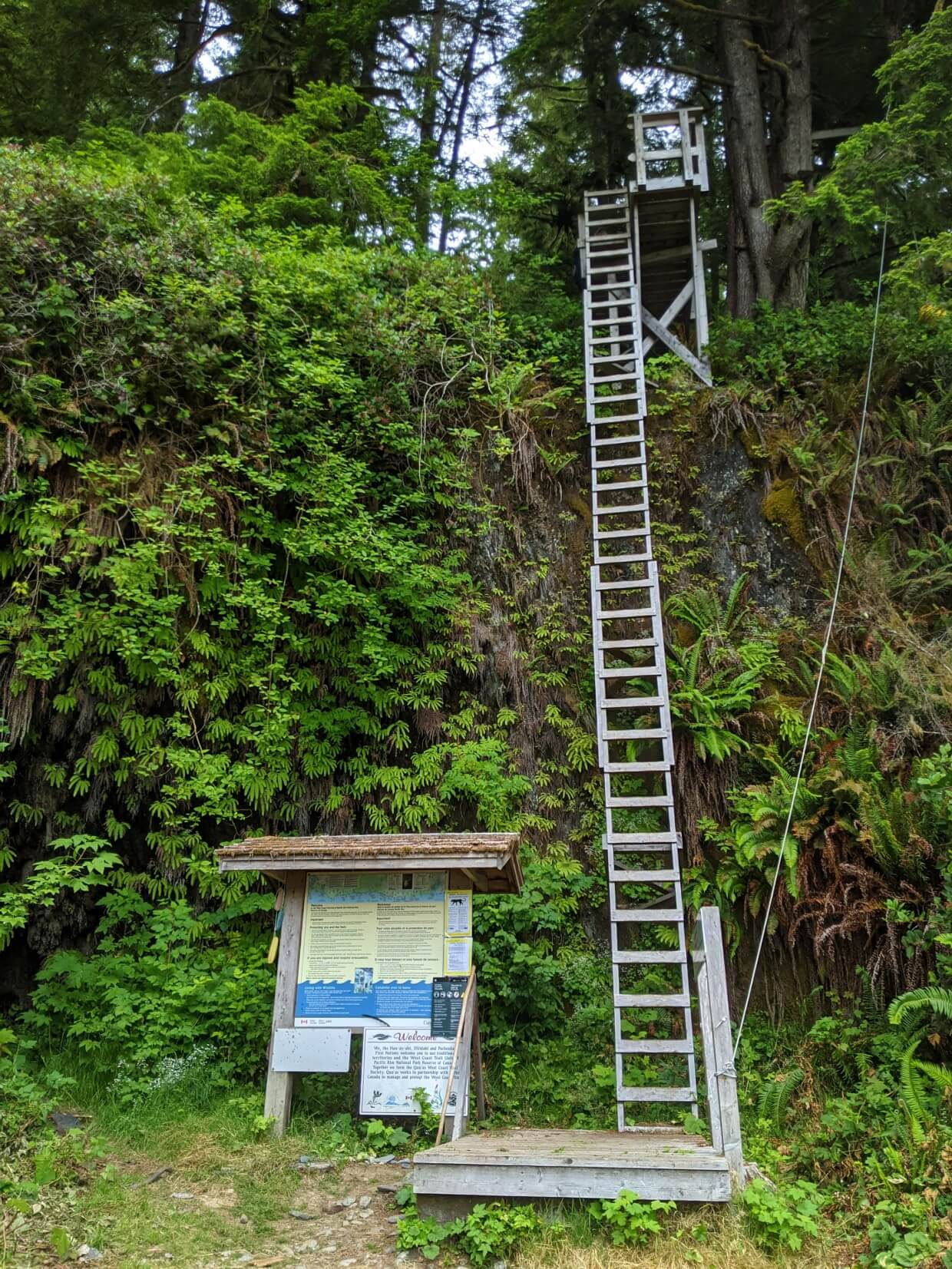 WCT路头标志与信息板，旁边非常高，垂直梯子上升悬崖