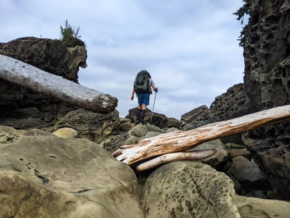 JR上升的大岩石的后视图，前景是浮木