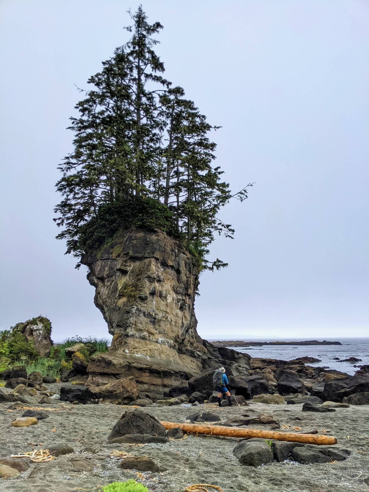 JR站在海滩上，抬头看着高高的“花盆”岩石——被海水侵蚀的岩石，顶部留下了树木和树叶