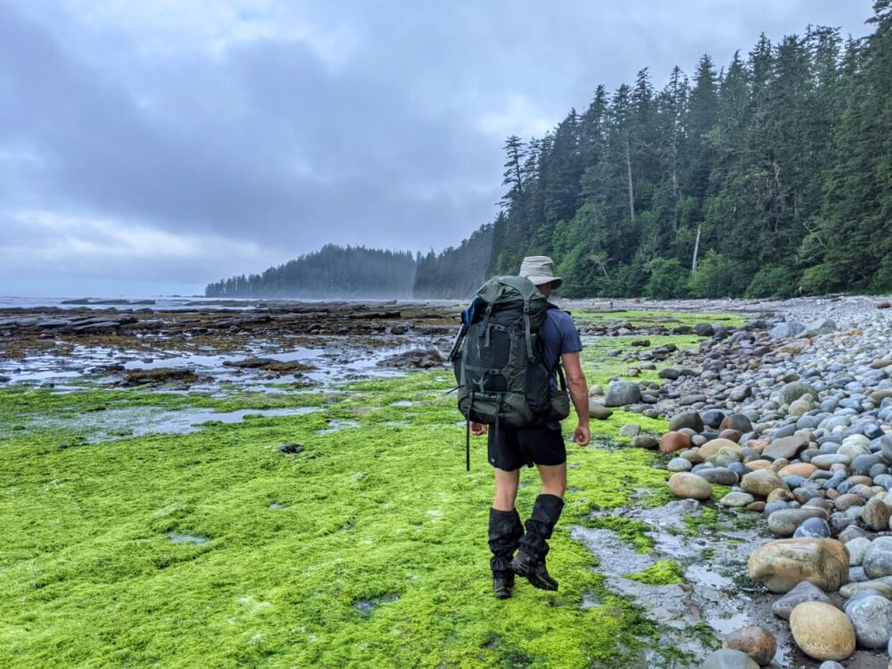 JR徒步远离相机在海滩的后景;左边是亮绿色的海草，右边是岩石卵石