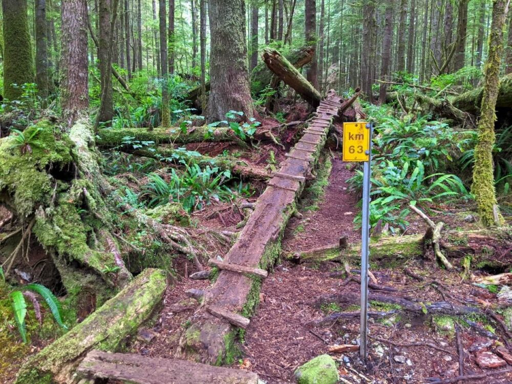 原木桥通向森林里的摄像机，63公里的黄色标志紧挨着小路