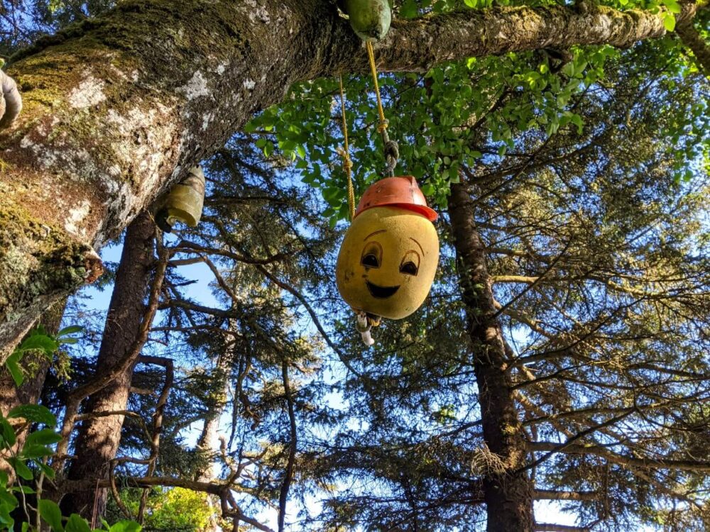 黄色的浮标挂在树上——它有一顶橙色的安全帽，上面画着一个笑脸
