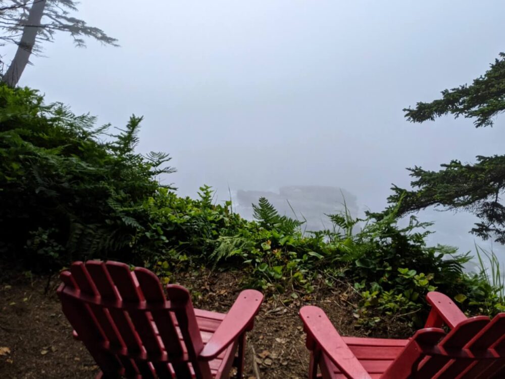 两张红色的加拿大公园座椅放在薄雾笼罩的悬崖景色前