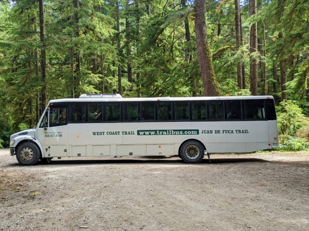 大型白色公共汽车在森林停车场掉头