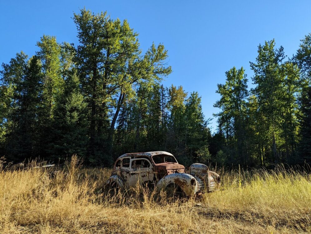一辆上世纪50年代的旧汽车停在哥伦比亚和西部公路旁的金色草地上，后面是森林