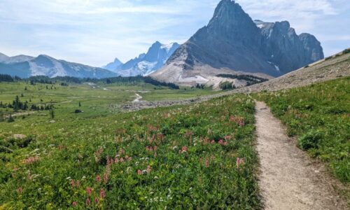 大分水岭步道:加拿大最史诗级的徒步旅行