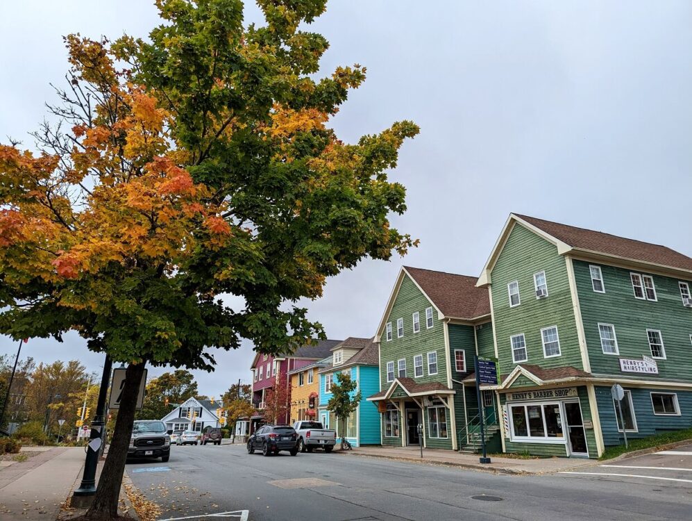 安提戈尼市中心彩色房屋的人行道视图，前景是绿色/橙色的树