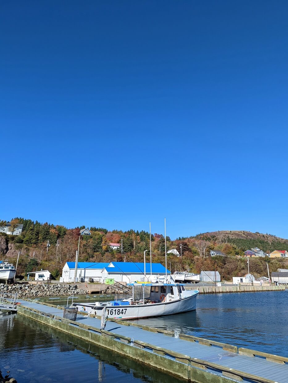 Ballantyne's Cove的码头区域，以停靠的船、蓝色屋顶的建筑和后面山上的小房子为特色