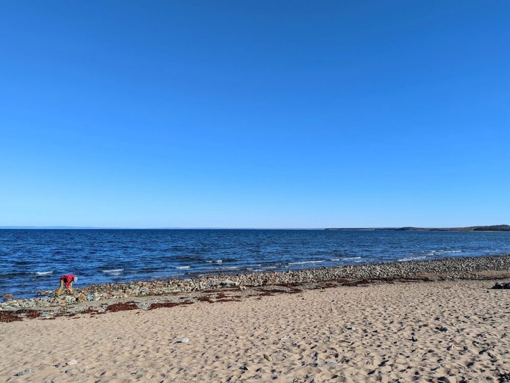 桑迪·马奥尼海滩，JR站在靠近海岸线的地方，伸手去捡东西。背景是平静的大海